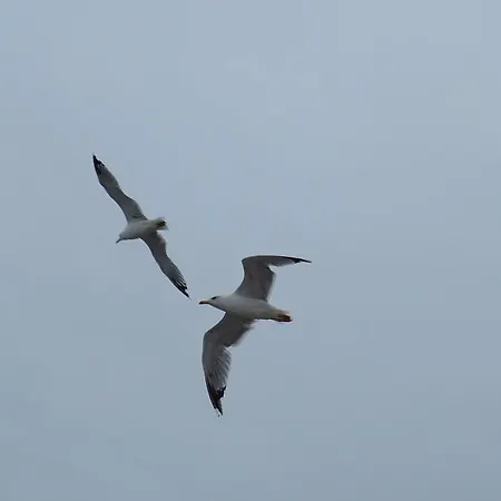 Ξενοδοχείο Real 3*